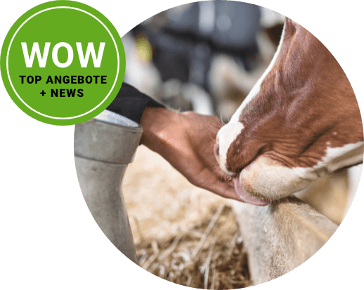 nutztierhaltung newsletter nutztierhaltung newsletter